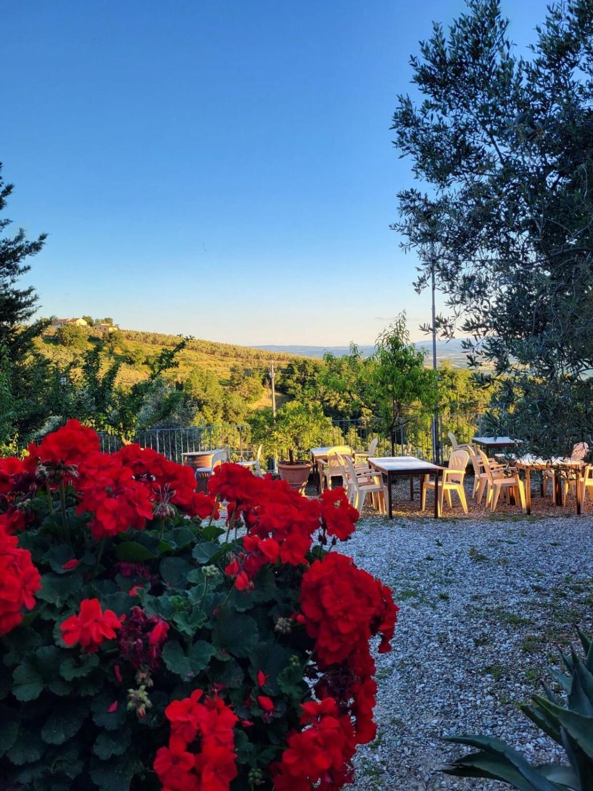 Agriturismo La Gioconda Vinci Exterior photo